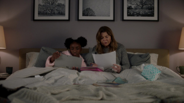 in Grey's Anatomy S18E14 Road Trippin' (4)
