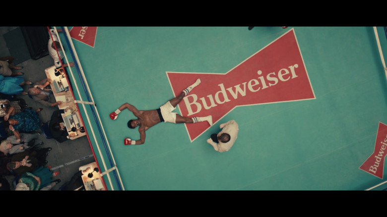 Budweiser in Mike S01E01 Thief ( (3)