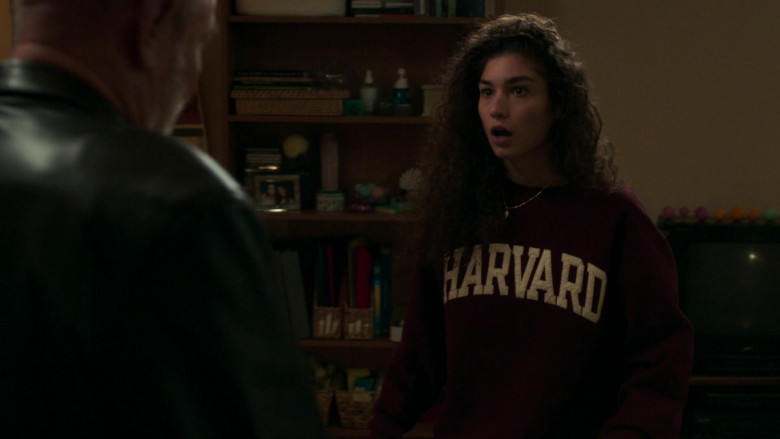 Harvard University Sweatshirt in City on a Hill S03E01 Gods and Monsters (2022)