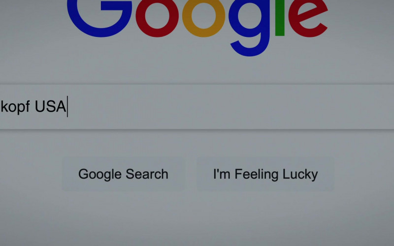 Google WEB Search Engine in The Good Fight S06E05 The End of Ginni (1)