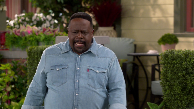 Levi's Shirt Of Cedric The Entertainer As Calvin Butler In The ...