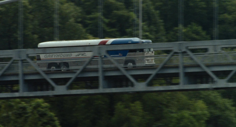 Greyhound Lines in Bones and All (1)