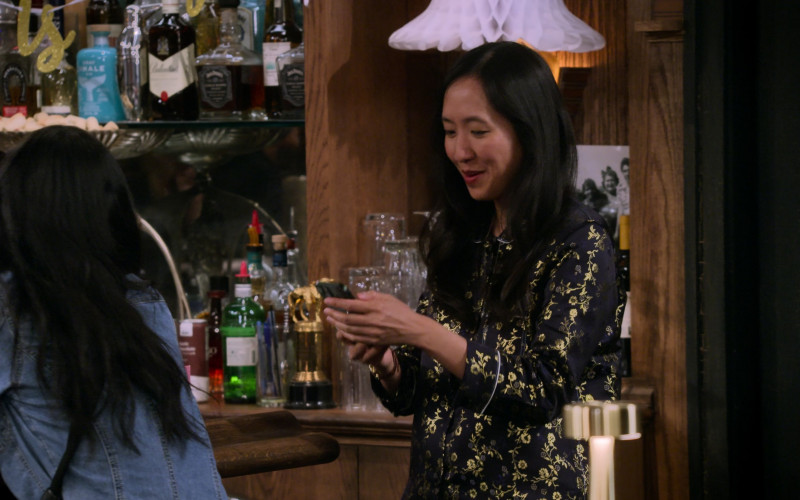 Gray Whale Gin, Ballantine's Whisky and Jack Daniel's Bottles in How I Met Your Father S02E01 Cool and Chill (2023)