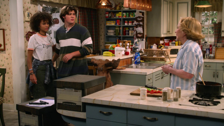 Sugar in the Raw, Cafe Bustelo, Del Monte Foods, Nabisco Mallomars, Campbell's, Morton Salt, Hills Bros. Coffee, Kellogg's Special K Cereal, Bankers Box in That '90s Show S01E08 Summer Storm (2023)