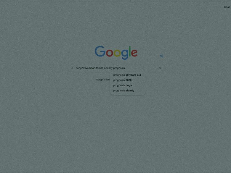 Google WEB Search Engine in The Whale (1)