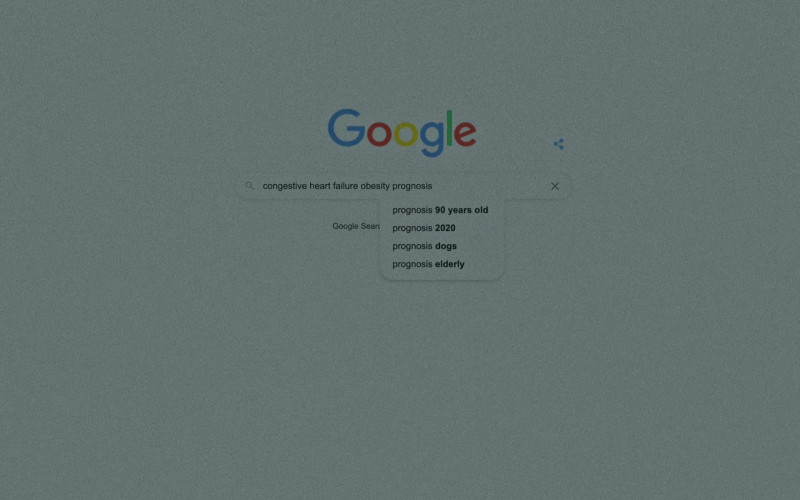 Google WEB Search Engine in The Whale (1)