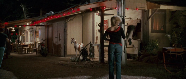 Coca-Cola Signs in Sweet Home Alabama (1)