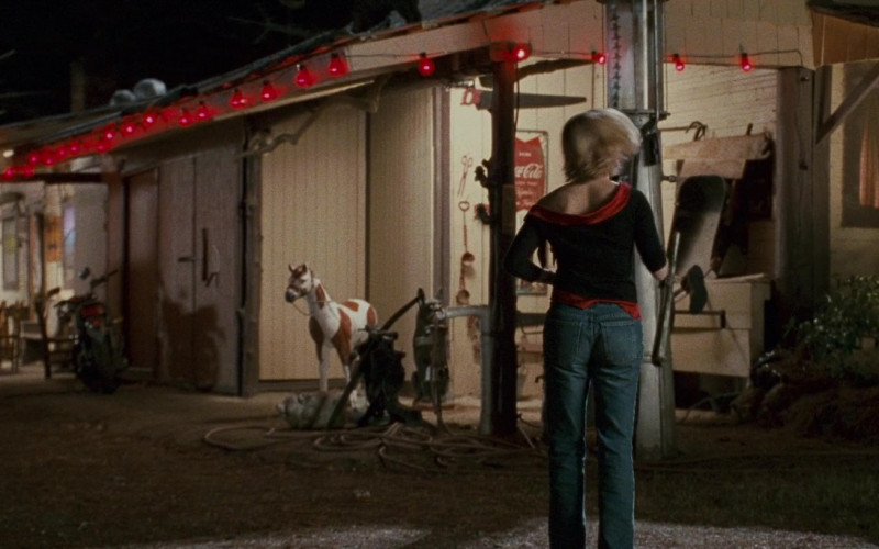 Coca-Cola Signs in Sweet Home Alabama (1)