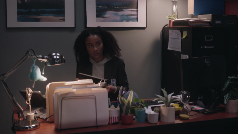 Dell Monitors in The Rookie Feds S01E19 Burn Run (4)