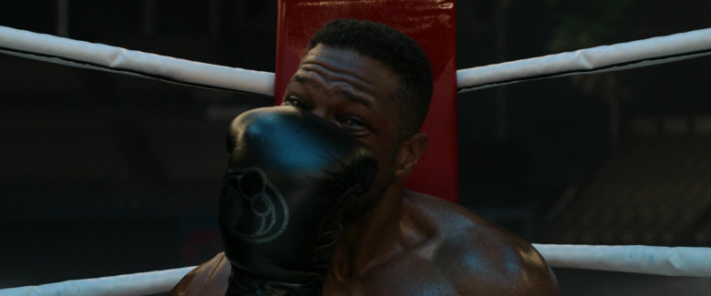 Grant Boxing Gloves in Creed III (4)
