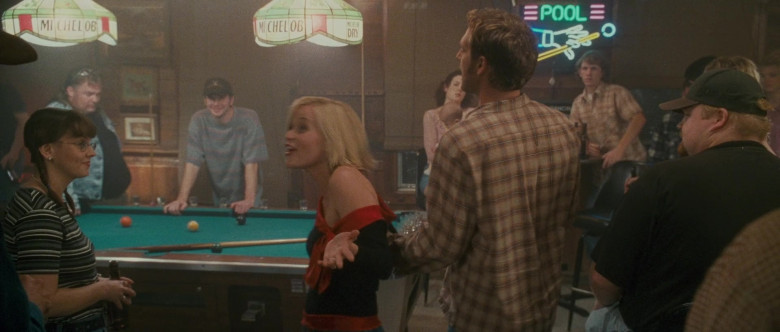Michelob Beer Pool Table Lamps in Sweet Home Alabama (5)