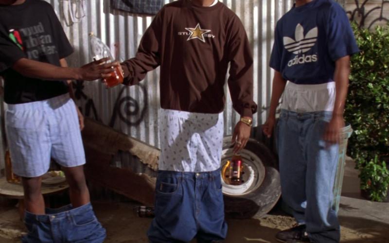 Stüssy Brown Sweatshirt and Adidas Blue T-Shirt in Don't Be a Menace to South Central While Drinking Your Juice in the Hood (1996)