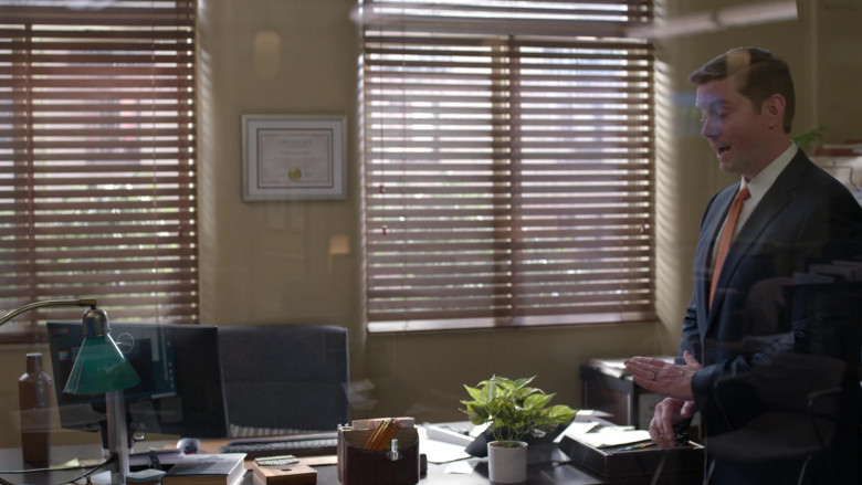 Dell Monitors in Not Dead Yet S01E09 Not Scattered Yet (3)