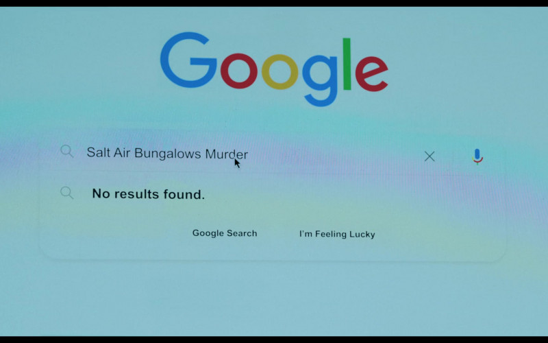 Google WEB Search Engine in Florida Man S01E01 The Realest Goddamned Place on Earth (2023)