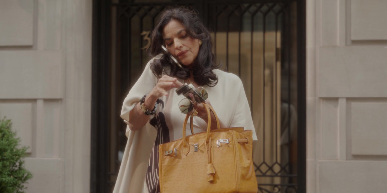Hermes Birkin Bag of Sarita Choudhury as Seema Patel in And Just Like That... S02E03 "Chapter Three" (2023) - 381756