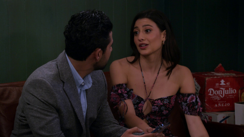 Don Julio 1942 Añejo Tequila Box in How I Met Your Father S02E14 "Disengagement Party" (2023) - 376892