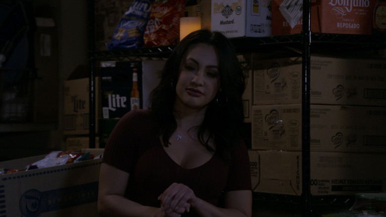 Wise Snacks, Miller Lite, SunChips, First Street, Don Julio, Nestle Coffee-Mate in How I Met Your Father S02E20 "Okay Fine, It's a Hurricane" (2023) - 383431