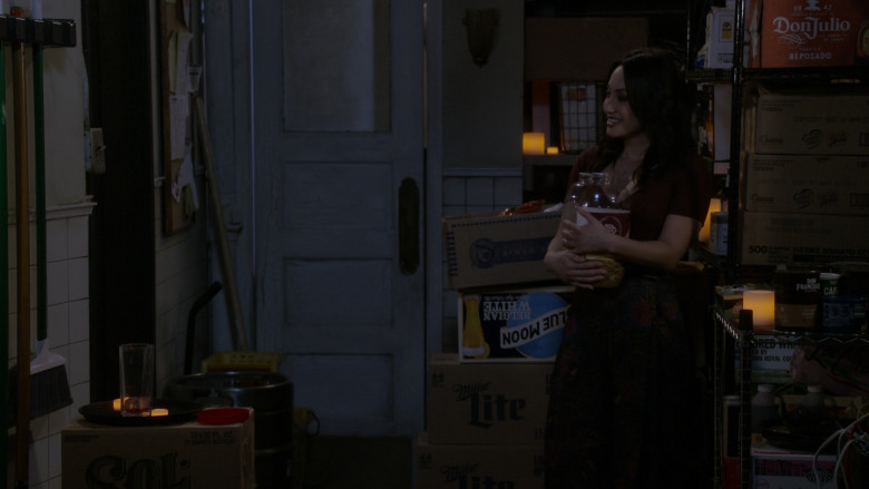 Sol Beer, Miller Lite, Blue Moon, Wise Snacks, Don Julio, Don Francisco's Coffee in How I Met Your Father S02E20 "Okay Fine, It's a Hurricane" (2023) - 383416