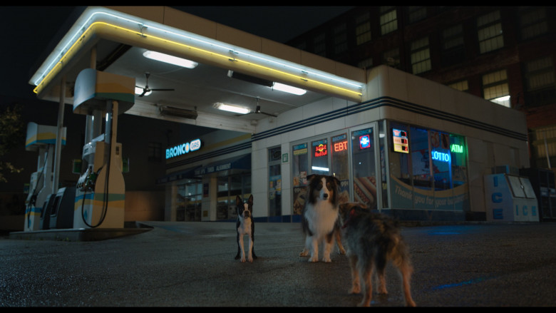 Red Bull and Pabst Neon Signs in Strays (2023) - 397911
