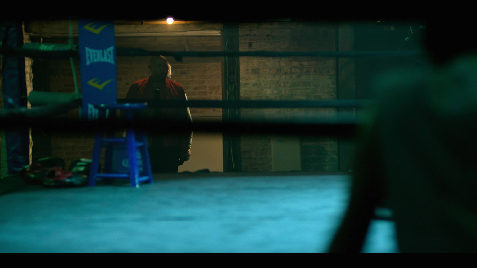 Everlast In Power Book IV Force