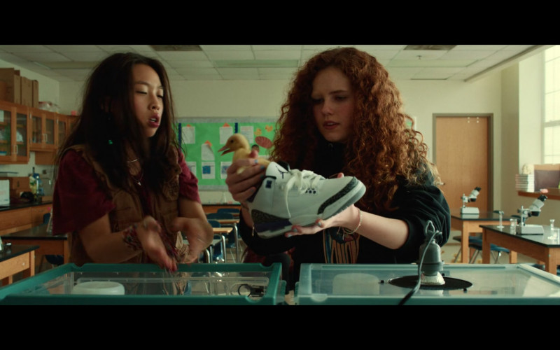 Nike Air Jordan Sneakers in The Slumber Party (2023)