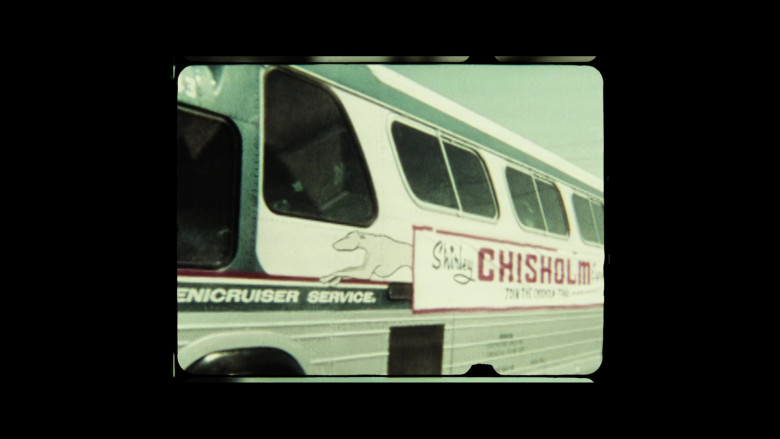 Greyhound Bus in Shirley (2024) - 486307