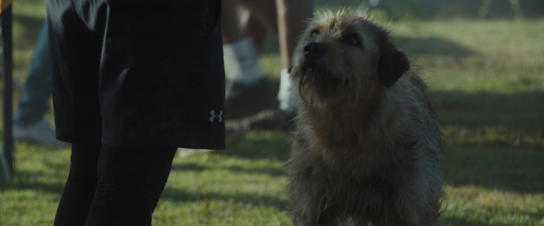 Under Armour Shorts in Arthur the King (2024) - 502834