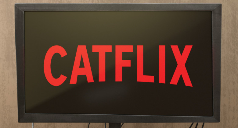 Catflix / Netflix in The Garfield Movie (2024) - 539716