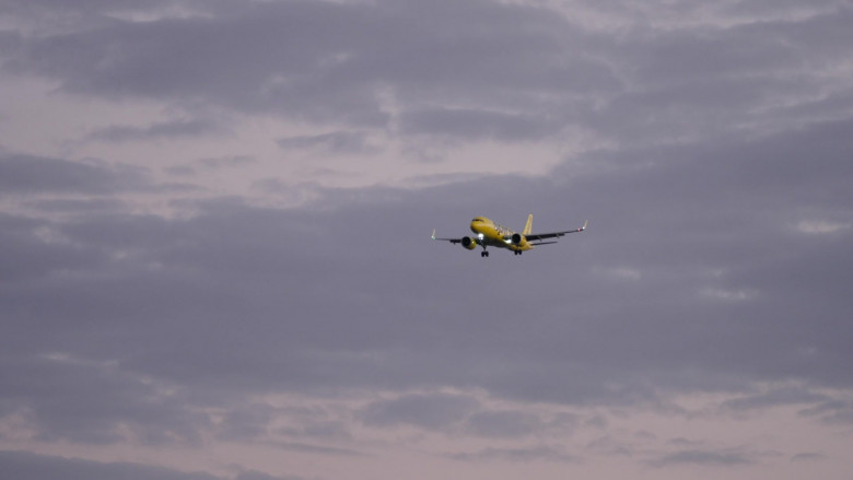 Spirit Airlines in It's Florida, Man S01E01 "Toes" (2024) - 597482