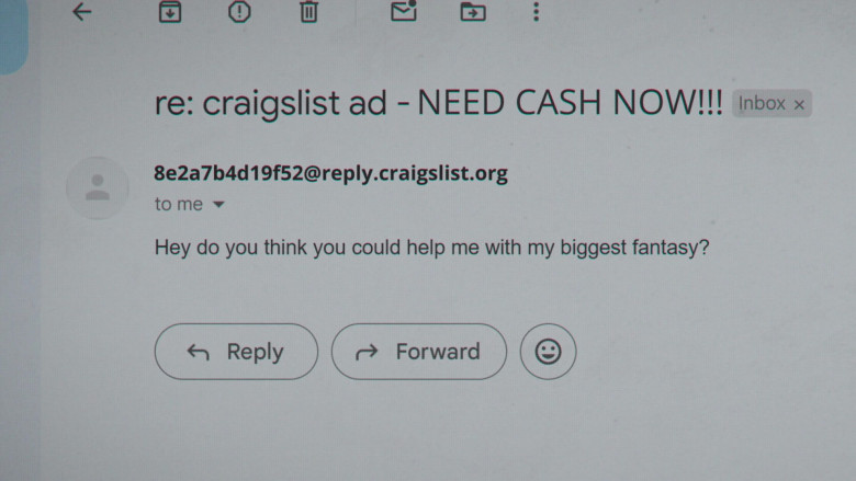 Craigslist Website in It's Florida, Man S01E01 "Toes" (2024) - 597443