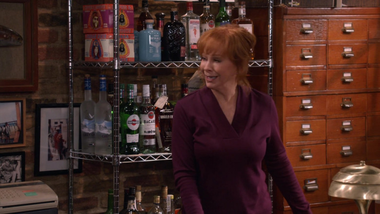 Urban Hiker Tennessee Brew Works, Gray Whale Gin, Bib & Tucker Bourbon, Beefeater, Bacardi, Grey Goose Vodka, Martini & Rossi, Angel's Envy in Happy's Place S01E04 "Fish Fry Monday" (2024) - 615160